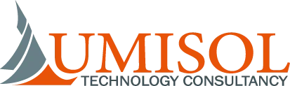 Lumisol Technology Consultancy Logo